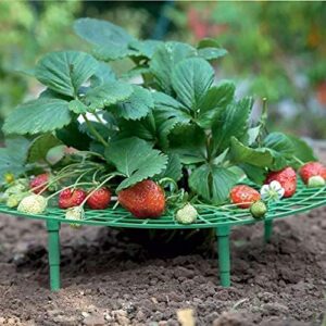 Support aux fraisiers