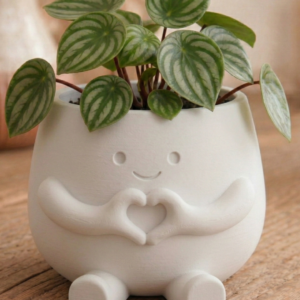 Pot de fleurs